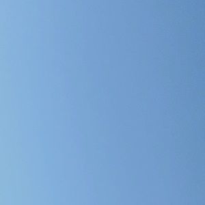 Meet your Posher, Amaya